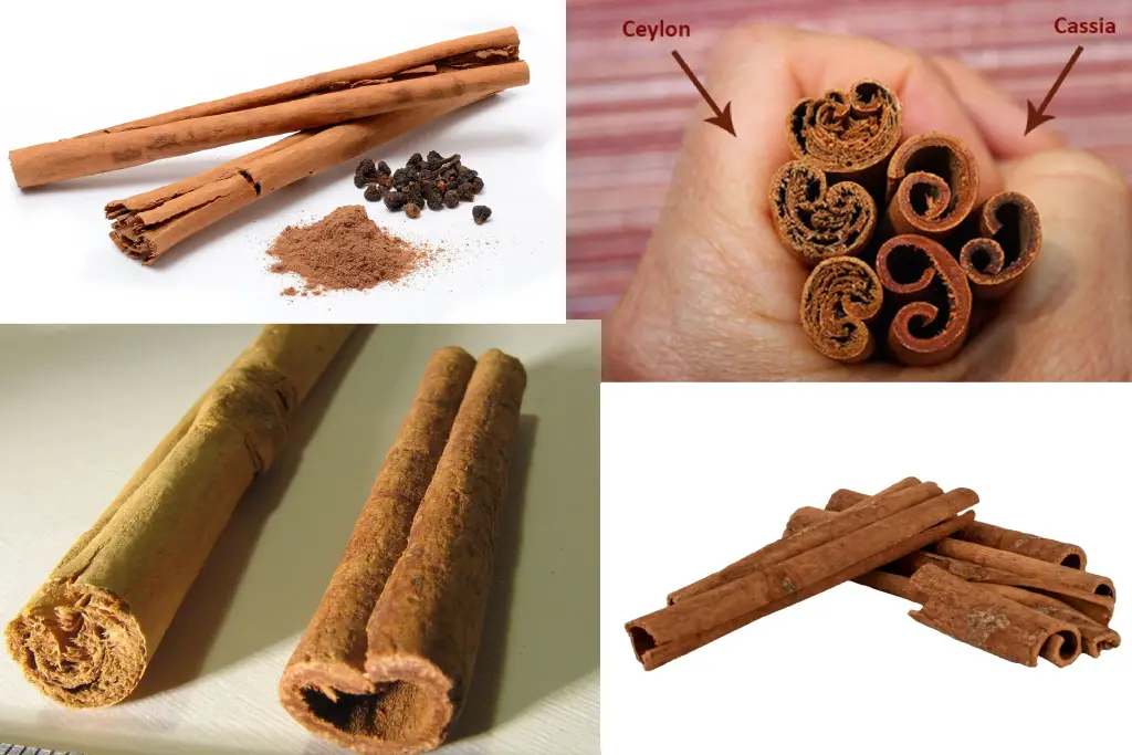 Cinnamomum verum دارچین