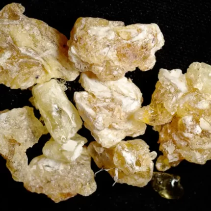 Boswellia carterii کندر