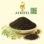 اسپندان