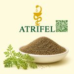 بذر زنیان