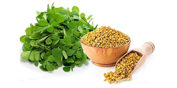 بذر شنبلیله