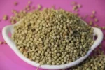 Coriandrum sativum بذر گشنیز