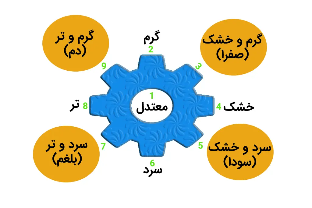 مزاج چیست؟ انواع مزاج از دیدگاه ابوعلی سینا