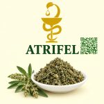 اسطوخودوس