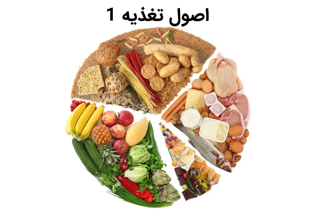 اصول تغذیه و رژیم غذایی برای سلامتی بدن