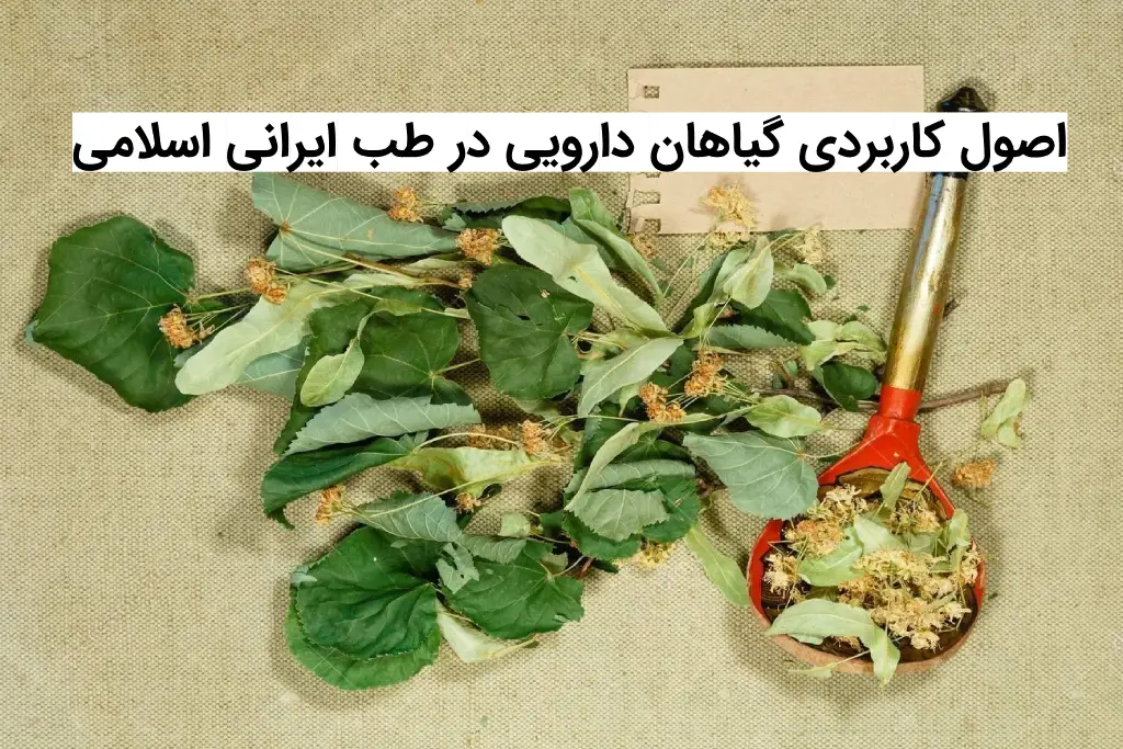 اصول کاربردی گیاهان دارویی در طب ایرانی اسلامی