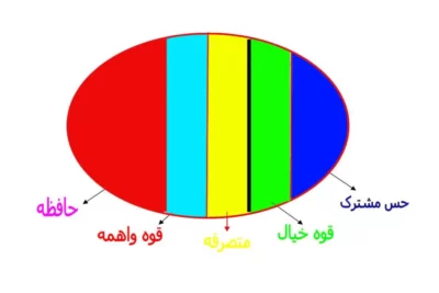 حس مشترک