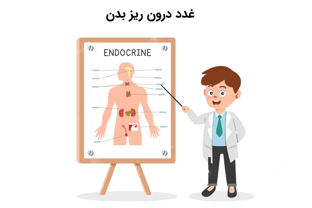 غدد درون ریز بدن