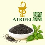 بذر ریحان