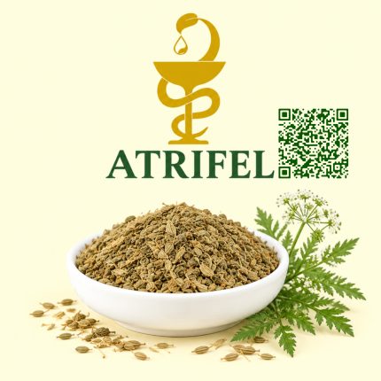 بذر غازیاقی