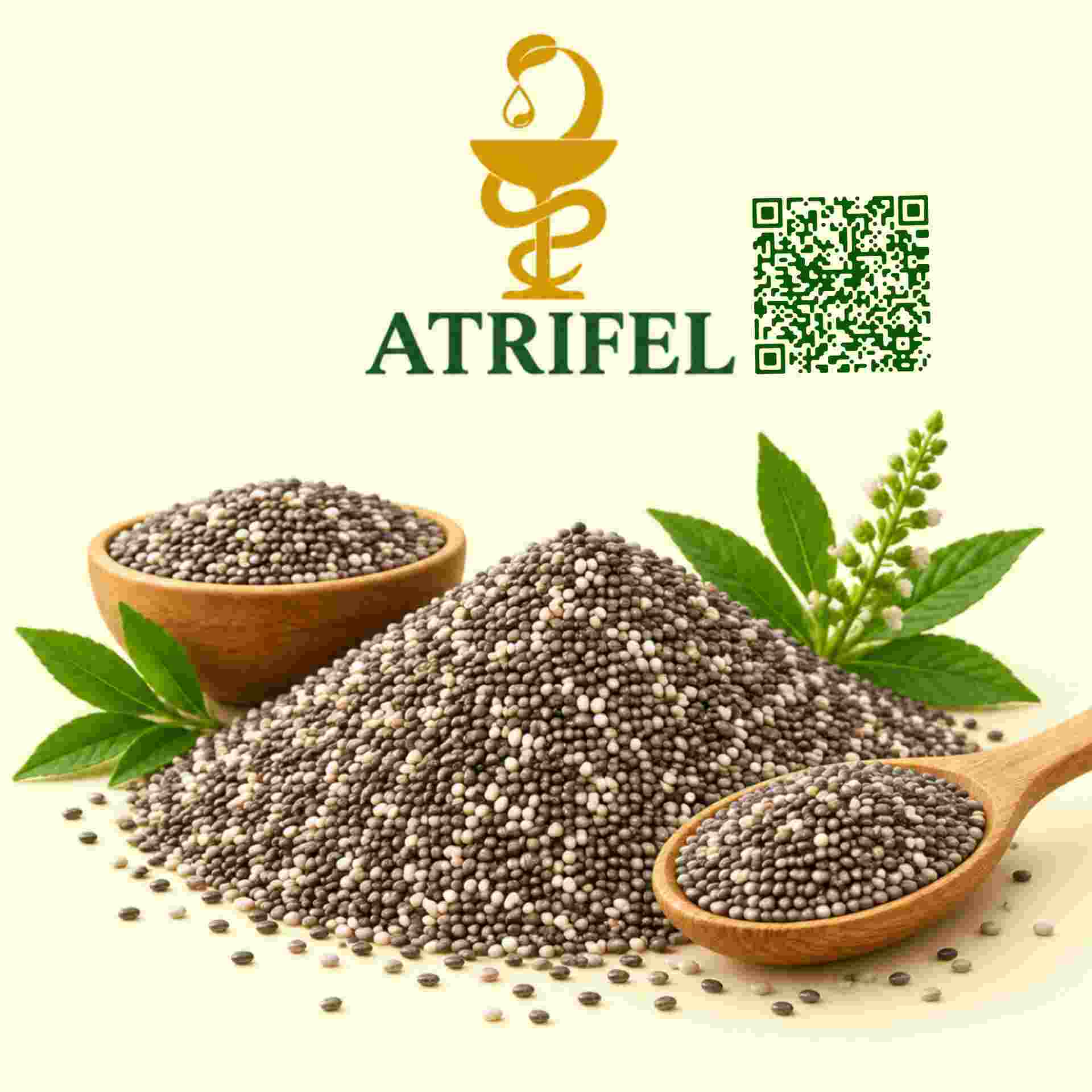 دانه چیا