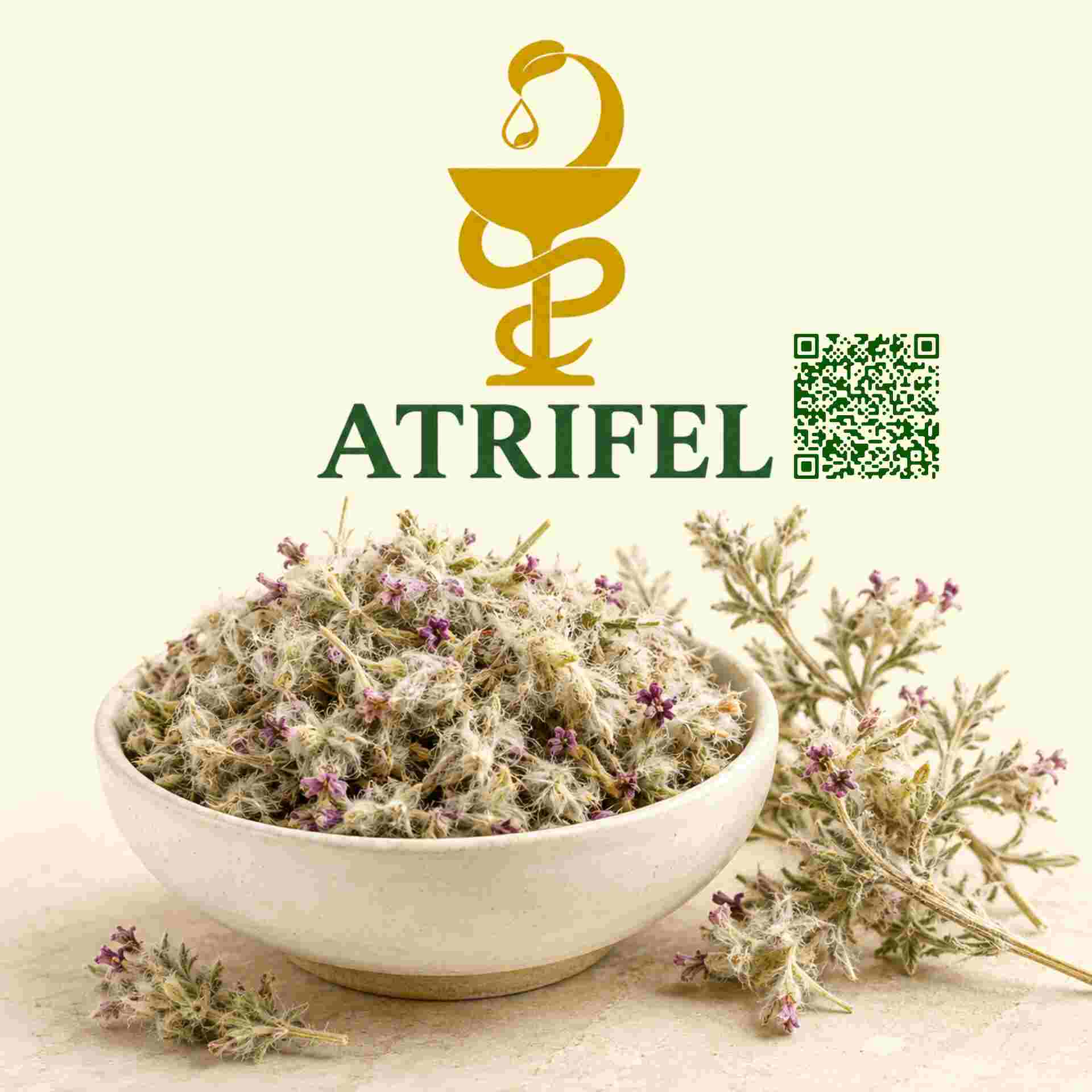 چای کوهی