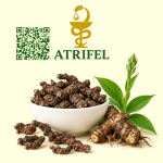 خربق سیاه