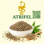 شاهدانه