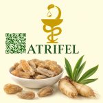 ثعلب مصری