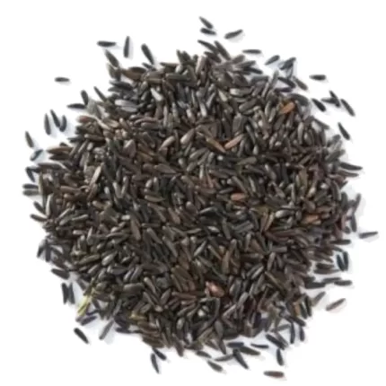 عکس، قیمت و خرید بذر بالنگو(Lallemantia Seed) و خواص آن