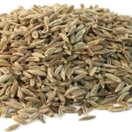 عکس، قیمت و خرید بذر جعفری(Petroselinum crispum) و خواص آن