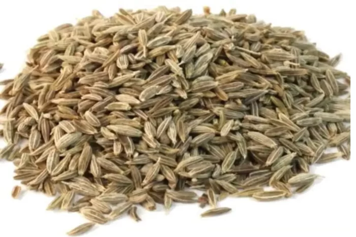 عکس، قیمت و خرید بذر جعفری(Petroselinum crispum) و خواص آن