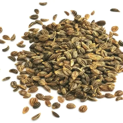 عکس، قیمت و خرید بذر جعفری(Petroselinum crispum) و خواص آن