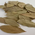 برگ بو(Laurus nobilis) و خواص آن