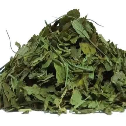 برگ شیرین بیان(Glycyrrhiza glabra) و خواص آن