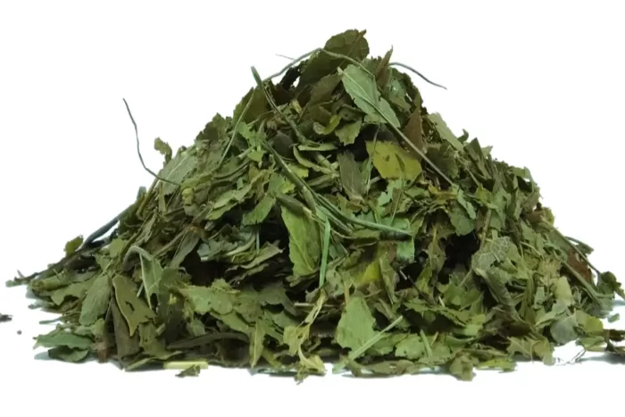 برگ شیرین بیان(Glycyrrhiza glabra) و خواص آن