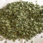 برگ‌ عناب(Ziziphus jujuba) و خواص آن