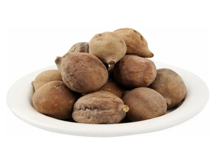 عکس، قیمت و خرید بلیله(Terminalia bellirica) و خواص آن