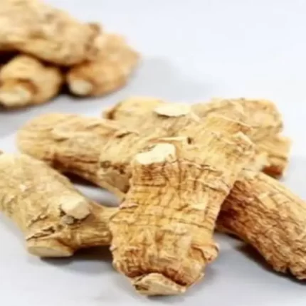 جنسینگ سفید(Panax ginseng) و خواص