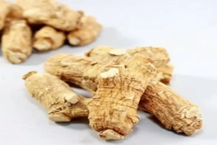 جنسینگ سفید(Panax ginseng) و خواص