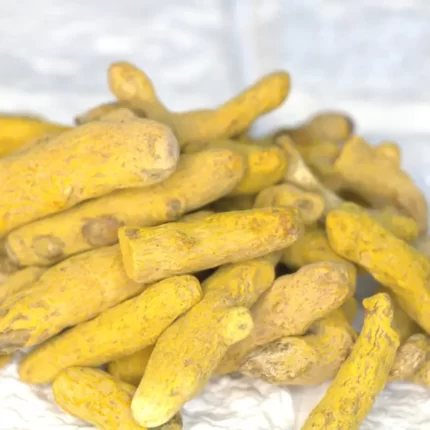 زردچوبه قلم(Curcuma longa) و خواص آن