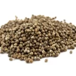 شاهدانه(Cannabis)