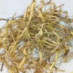 علف هفت بند(Polygonum) و خواص آن