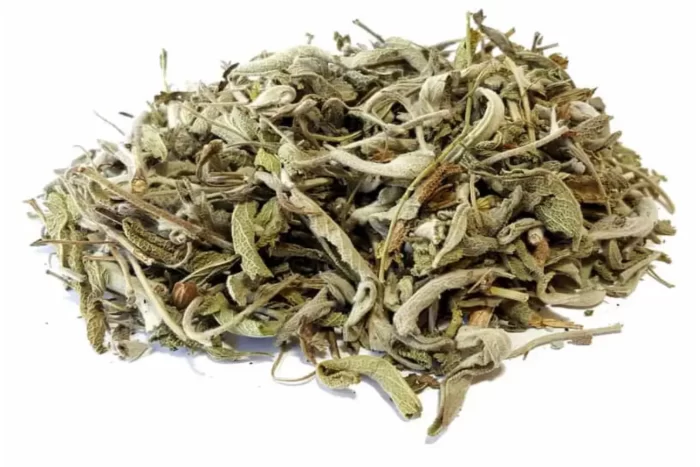 مریم گلی(Salvia officinalis) و خواص آن