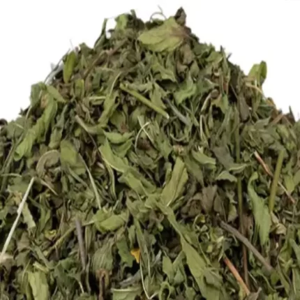 نعنا فلفلی(Mentha piperita) و خواص آن