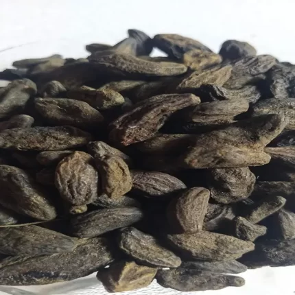 عکس، قیمت و خرید هلیله سیاه(Terminalia chebula) و خواص آن