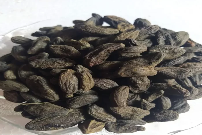 عکس، قیمت و خرید هلیله سیاه(Terminalia chebula) و خواص آن