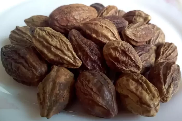 عکس، قیمت و خرید هلیله کابلی(Terminalia chebula) و خواص آن