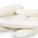 عکس، قیمت و خرید کف دریا(Cuttlebone) و خواص آن