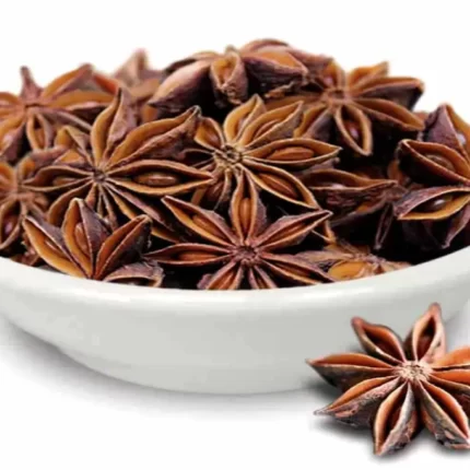 عکس، قیمت و خرید بادیان ستاره ای(Illicium verum) و خواص آن