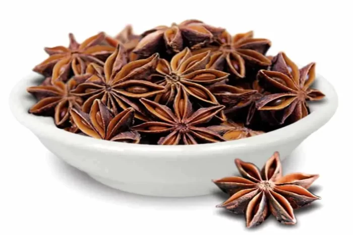 عکس، قیمت و خرید بادیان ستاره ای(Illicium verum) و خواص آن