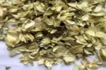 عکس، قیمت و خرید رازک(Humulus lupulus) و خواص آن