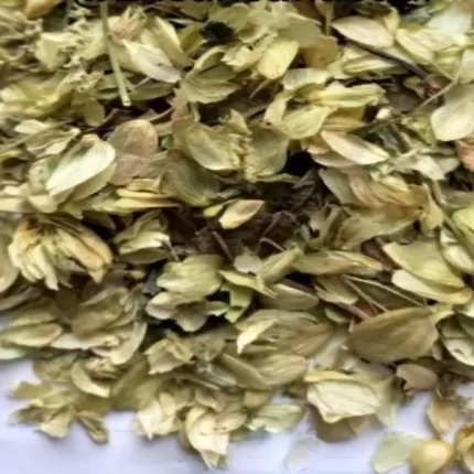 عکس، قیمت و خرید رازک(Humulus lupulus) و خواص آن