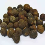 عکس، قیمت و خرید ماهیزرج( Anamirta cocculus) و خواص آن