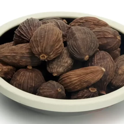 عکس، قیمت و خرید هل باد(Black cardamom) و خواص آن