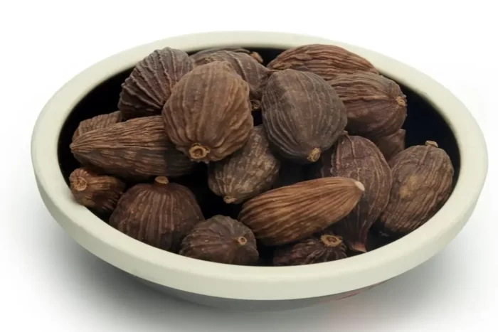 عکس، قیمت و خرید هل باد(Black cardamom) و خواص آن