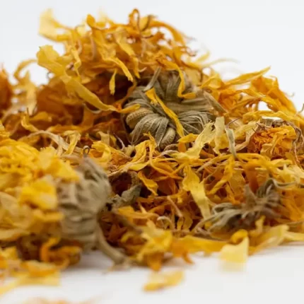 عکس، قیمت و خرید گل همیشه بهار(Calendula officinalis) و خواص آن