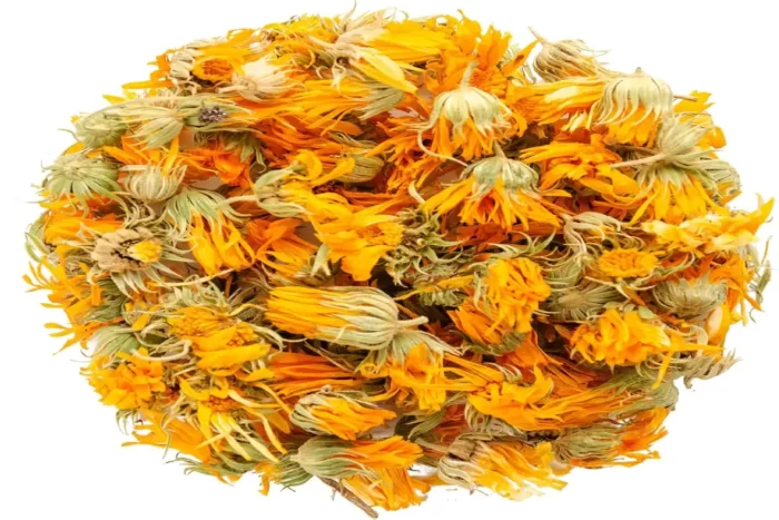 عکس، قیمت و خرید گل همیشه بهار(Calendula officinalis) و خواص آن