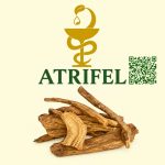ریوند چینی