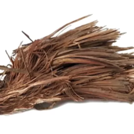 عکس اذخر مکی(Andropogon spp) و خواص آن